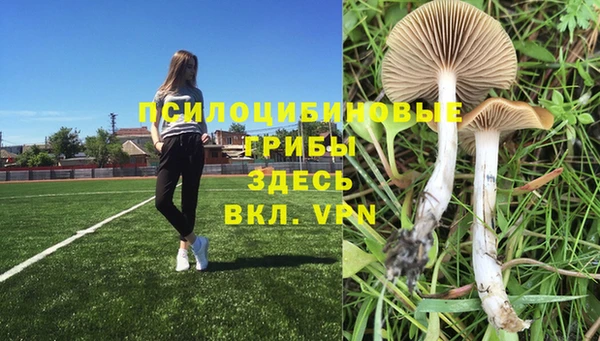 МДПВ Балахна