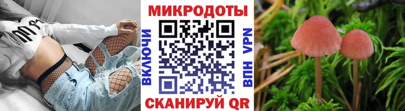 Псилоцибиновые грибы мицелий  даркнет сайт  даркнет клад  Приозерск 